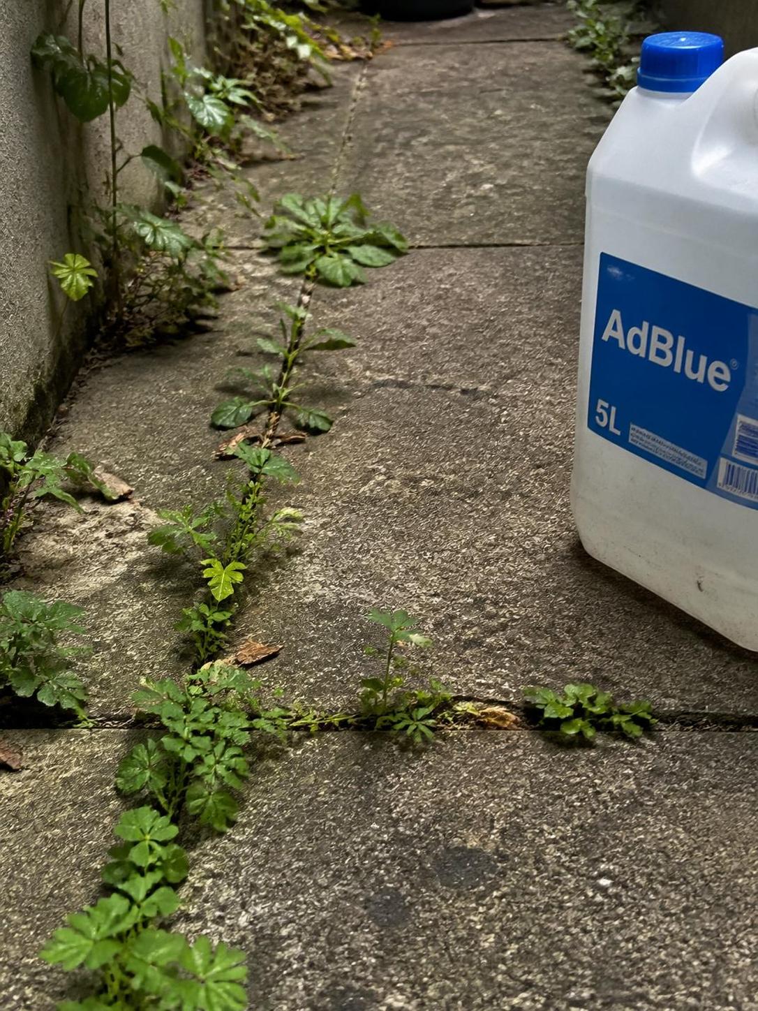 découvrez si l'utilisation d'adblue comme désherbant pour vos allées est une idée reçue ou une solution efficace qui fonctionne réellement.