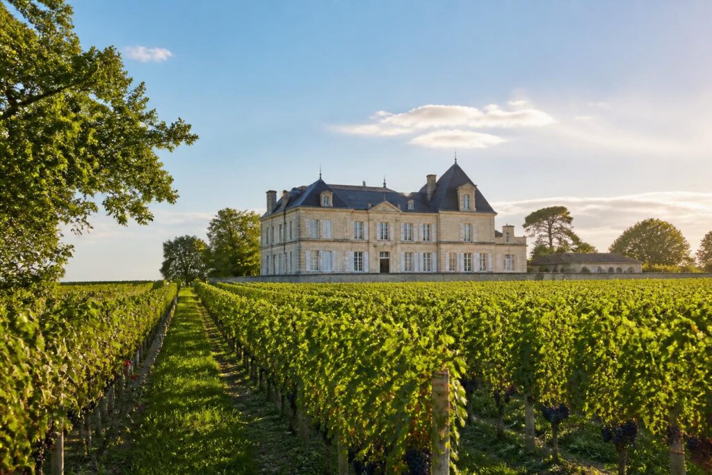 découvrez le château capbern 2022, un médoc généreux qui allie avec élégance ampleur et fraîcheur remarquable, offrant une expérience de dégustation riche et équilibrée.
