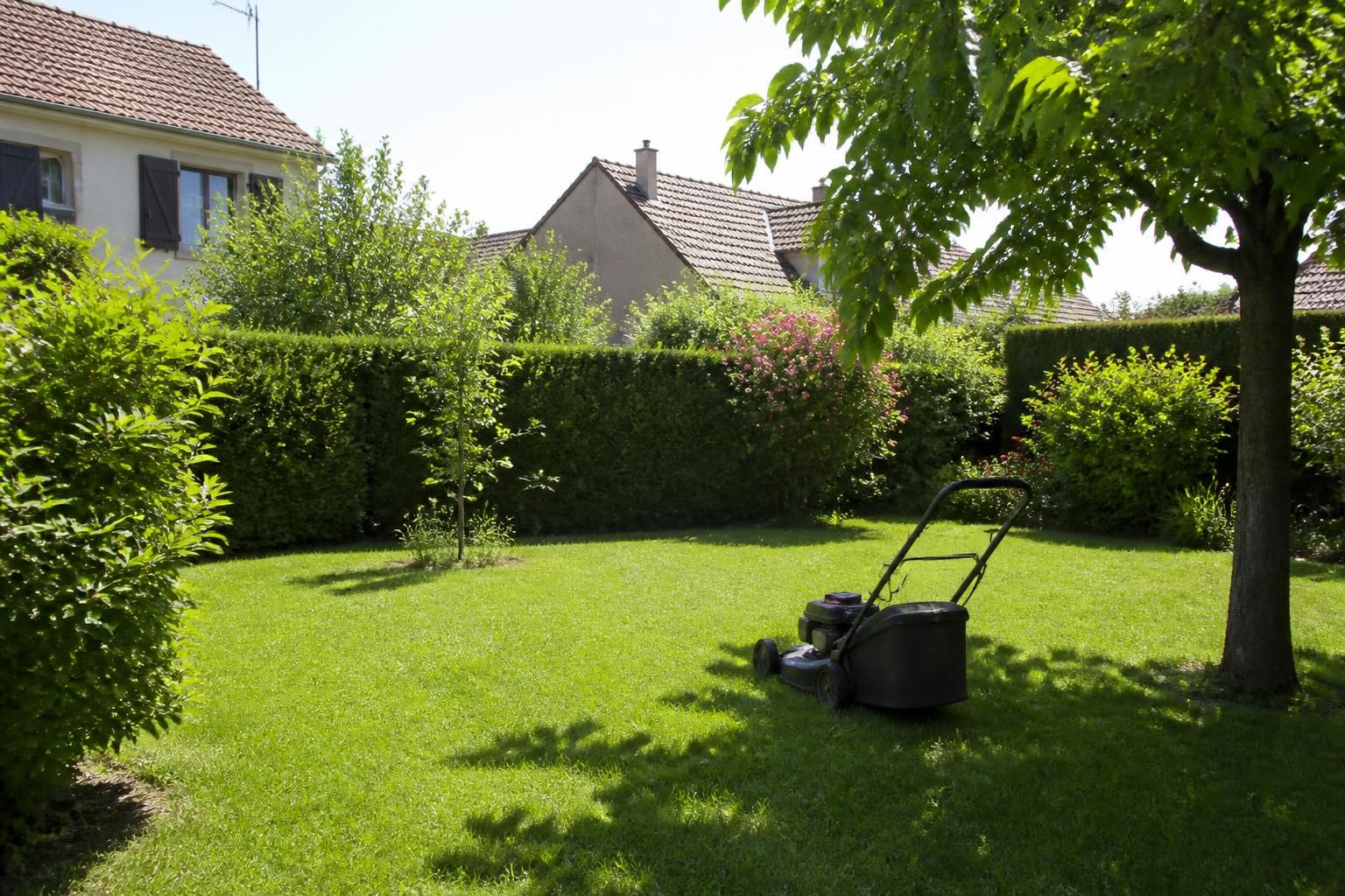découvrez les horaires idéaux pour tondre votre pelouse sans déranger votre entourage et profiter d'un jardin bien entretenu en toute tranquillité.