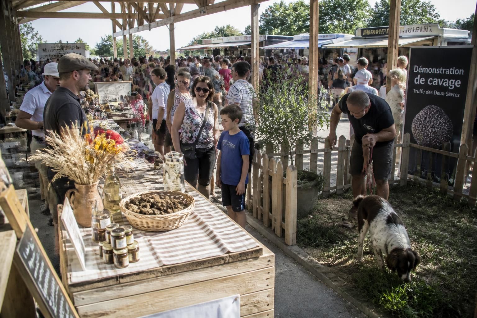 participez à la première fête estivale de la truffe et des saveurs du terroir à épannes, dimanche 7 juin. une journée gourmande et festive à ne pas manquer !