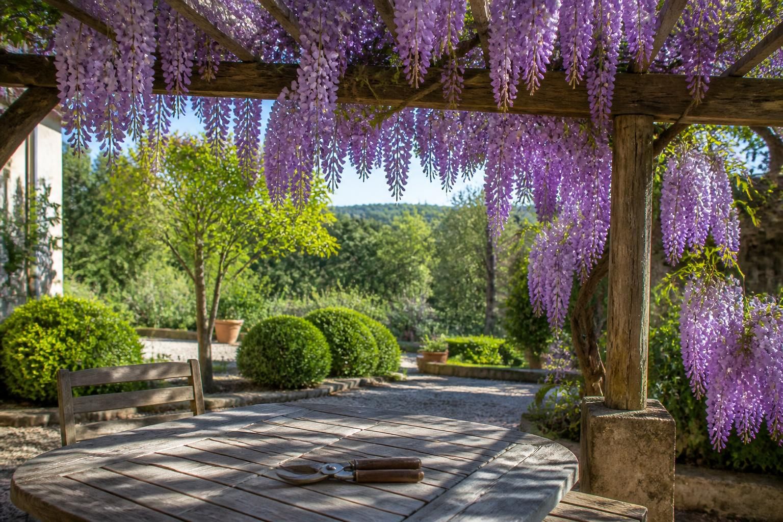 découvrez le calendrier parfait pour tailler votre glycine au bon moment, afin de favoriser une floraison abondante et éviter tout risque pour ses fleurs.