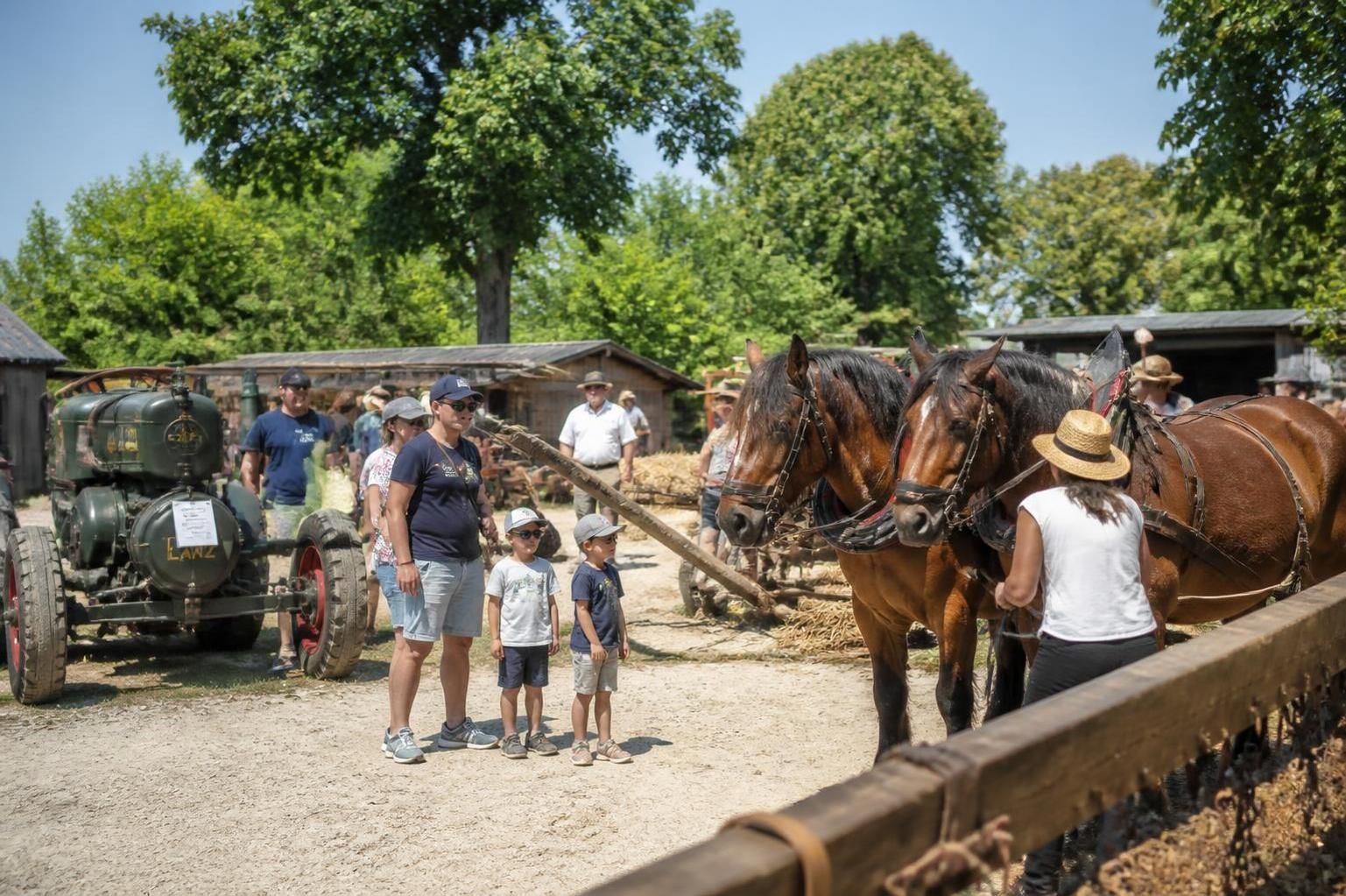 Tonnay-Charente : PlongĂ©e nostalgique Ă la FĂȘte de la ruralitĂ©, un voyage au cĆur de la vie d'antan 2 dĂ©couvrez la fĂȘte de la ruralitĂ© Ă tonnay-charente, une plongĂ©e nostalgique au cĆur des traditions et de la vie d'antan.