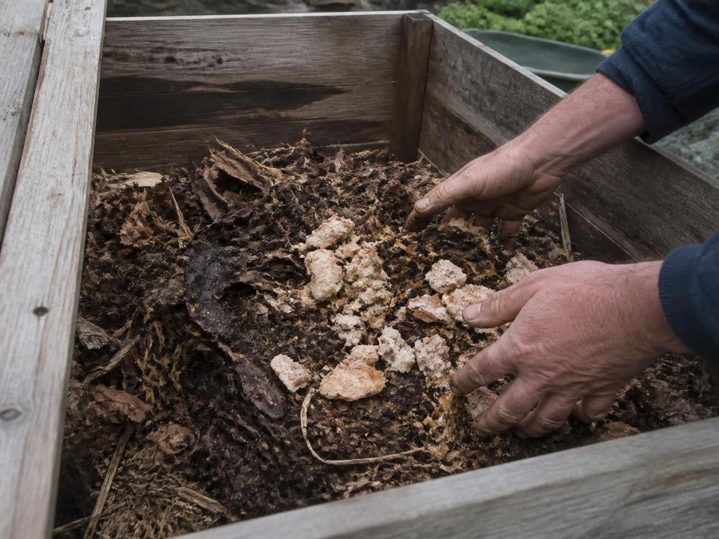 Compostage : intégrer le pain sans risquer d'attirer les nuisibles, mode d'emploi 2 découvrez comment intégrer le pain dans votre compost sans attirer les nuisibles grùce à notre mode d'emploi complet et facile à suivre.