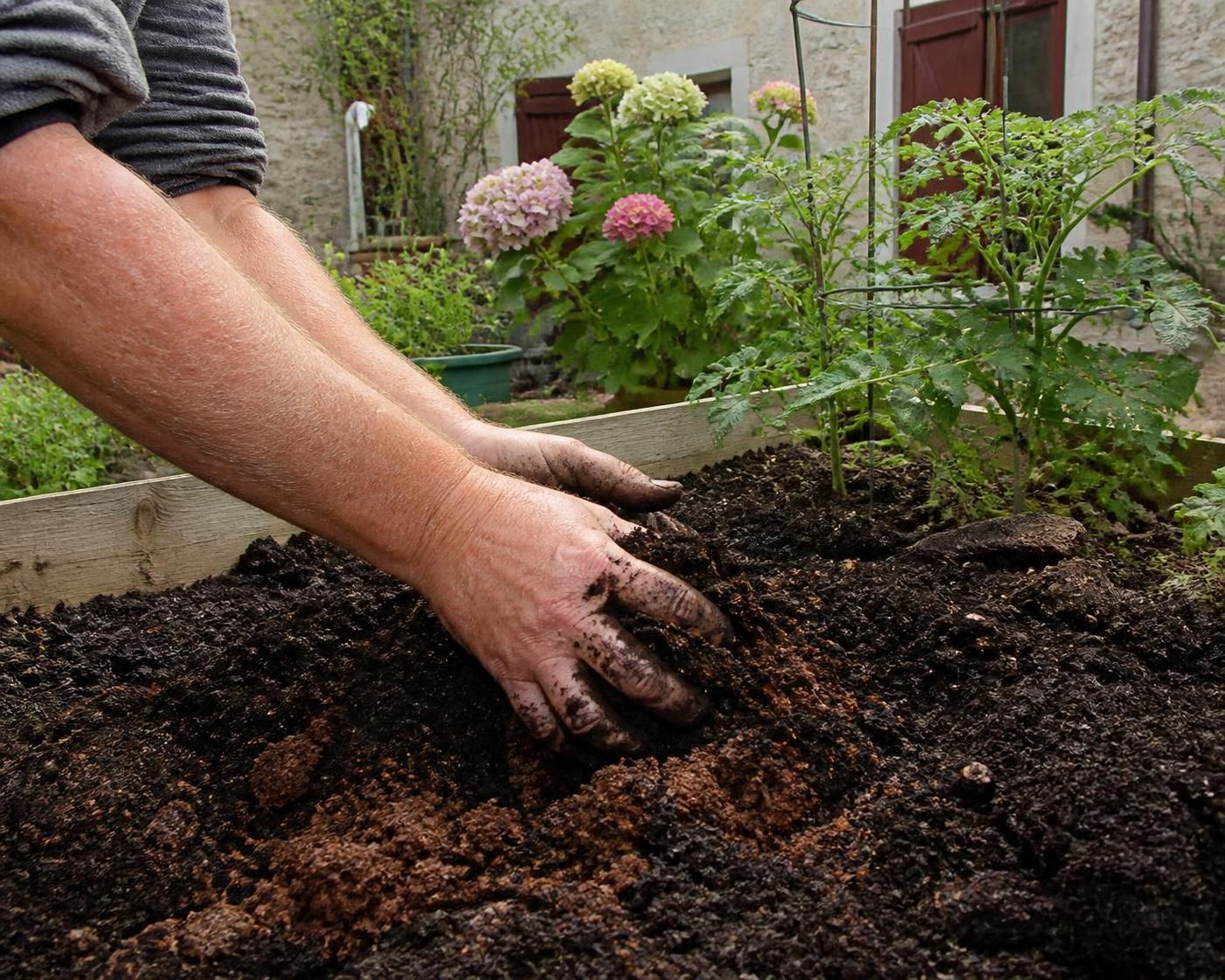 Jardinage malin : quelles plantes bénéficient du marc de café et en quelle quantité ? 2 découvrez quelles plantes de votre jardin profitent du marc de café et apprenez les quantités idéales pour un jardinage malin et écologique.