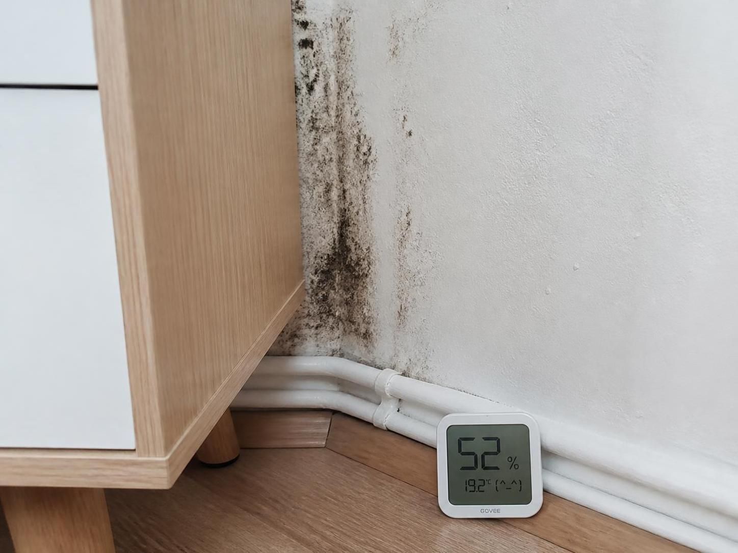 Moisissures sur murs en plùtre : diagnostic, origines, techniques de nettoyage et stratégies de prévention 2 découvrez comment diagnostiquer et comprendre les origines des moisissures sur murs en plùtre, ainsi que les meilleures techniques de nettoyage et stratégies pour les prévenir efficacement.