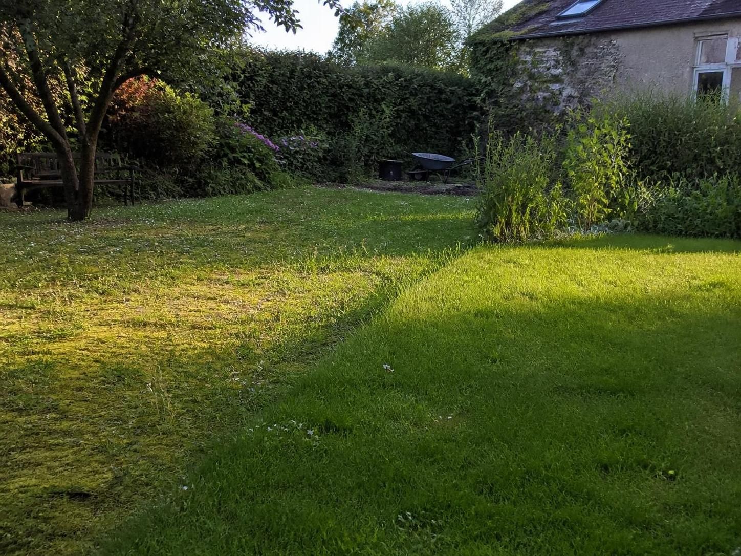 découvrez 5 étapes essentielles pour transformer une pelouse envahie par les mauvaises herbes en un gazon verdoyant et sain grâce à notre plan de reprise efficace.