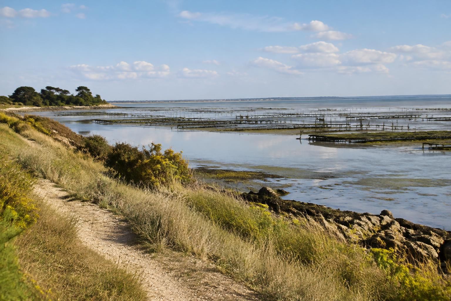Avec Blandine Giambiasi, une escapade sensorielle au cœur des îles de Charente-Maritime dans « Le Goût des îles » 2 avec blandine giambiasi, partez pour une escapade sensorielle au cœur des îles de charente-maritime et découvrez leurs saveurs dans « le goût des îles ».